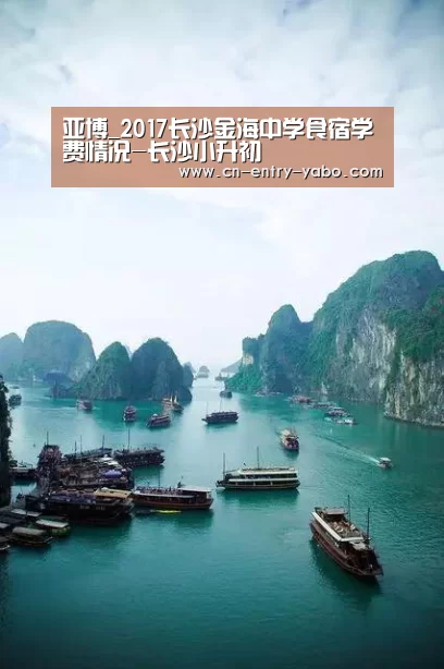 亚博_2017长沙金海中学食宿学费情况-长沙小升初(图3) 亚博体育下载