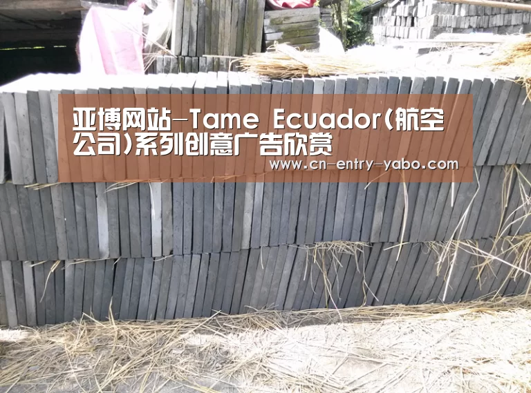 亚博体育下载