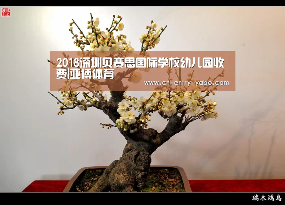 亚博